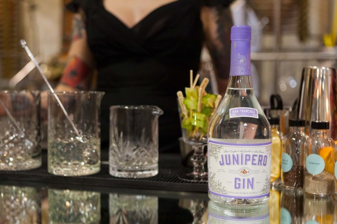 Anchor Distillery's 20 Years of Juniper Gin