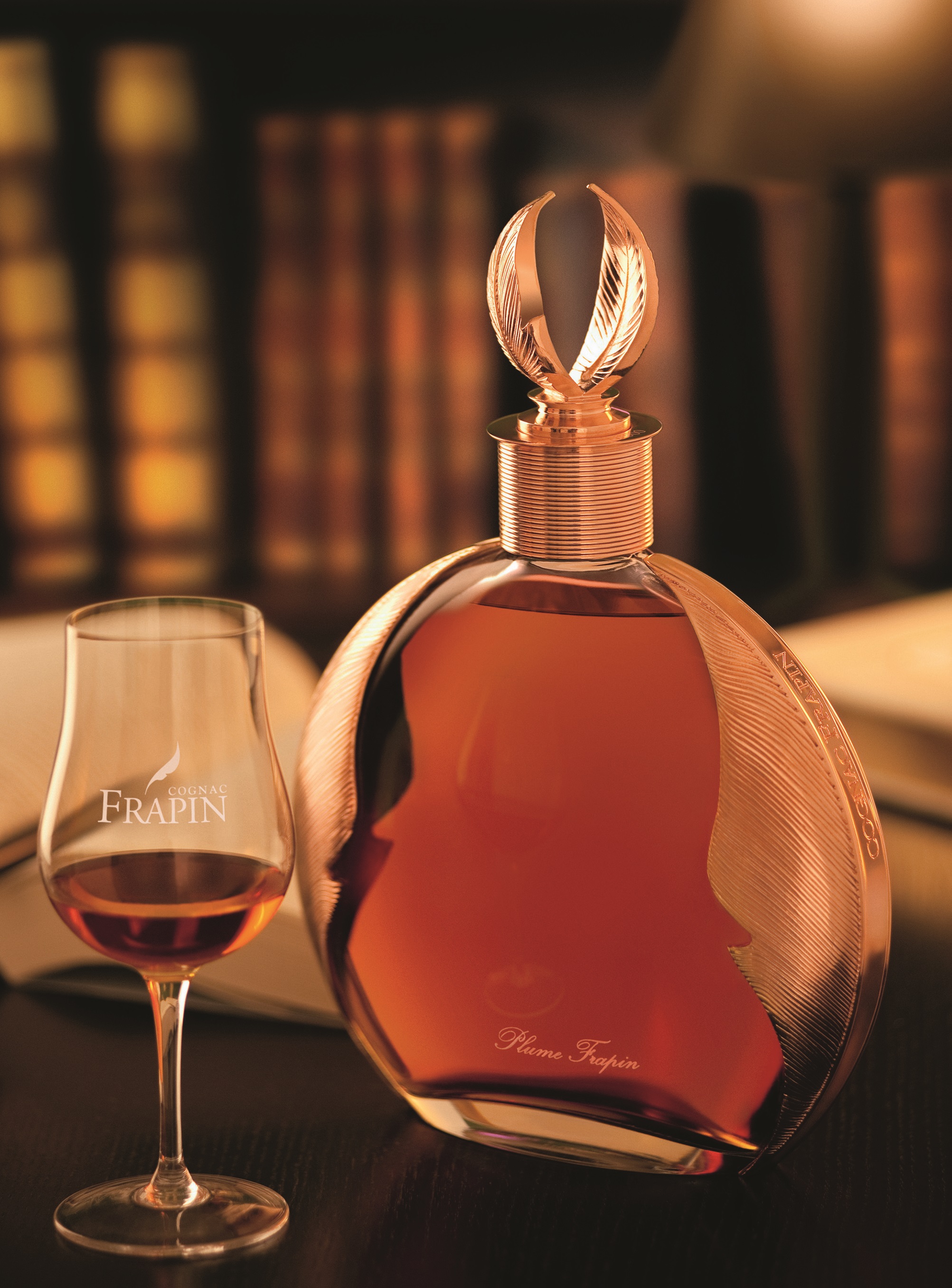 AMBIANCE PLUME DECOUPEE.jpg